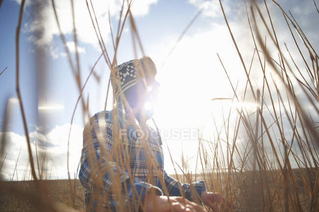 Hombre maduro mirando desde las cañas iluminadas por el sol - foto de stock