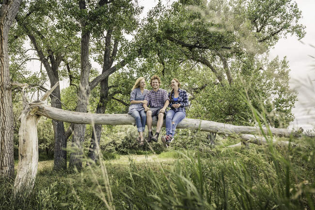 Young man with two females sitting together on fallen tree — Stock Photo