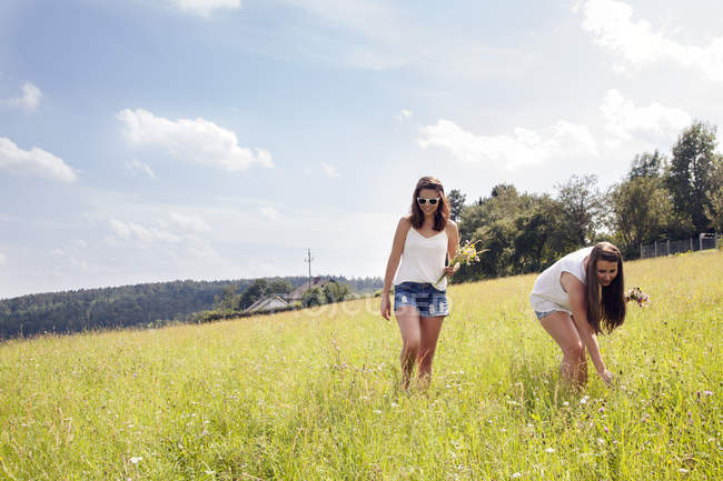 Young women picking wildflowers in field — Stock Photo