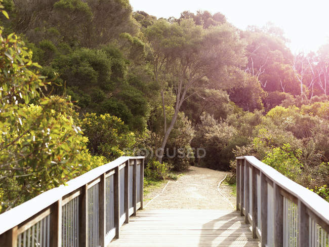 Водный пешеходный мост к пляжу — стоковое фото