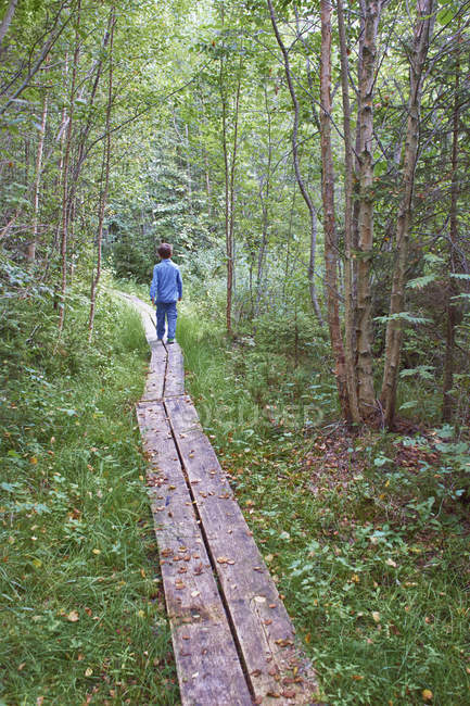 Visão traseira do menino explorando passarela da floresta — Fotografia de Stock