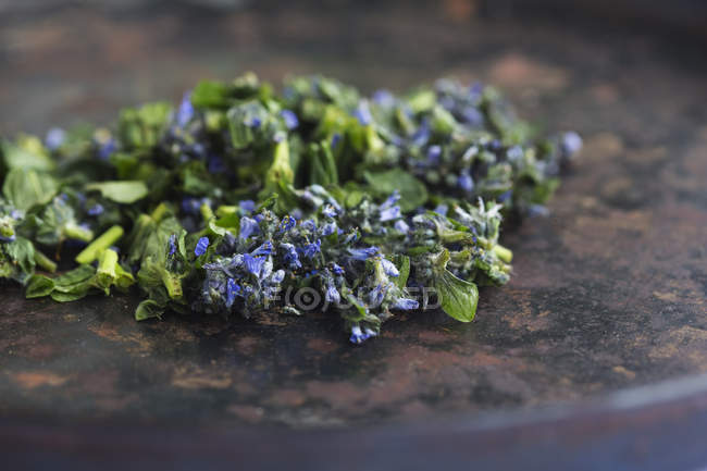 Picked bugleweed with flowers and leaves on rustic surface — Stock Photo