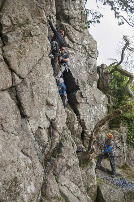 Cuatro personas escalando en roca - foto de stock