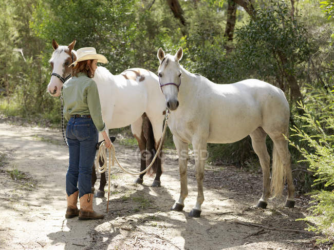Девочка-подросток ведет двух лошадей по грунтовой дорожке — стоковое фото