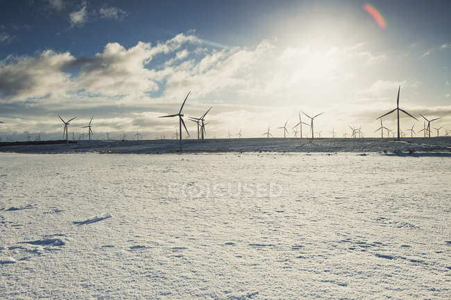 Turbinas eólicas en paisaje arenoso - foto de stock