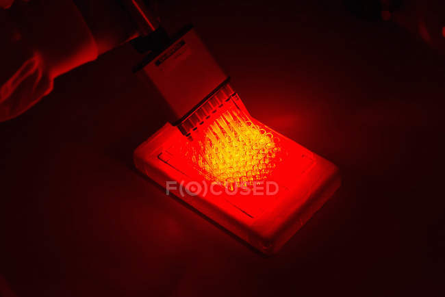 Cancer research laboratory, photochemotherapy, hand of scientist using photosensitive drugs to treat cancer cells — Stock Photo