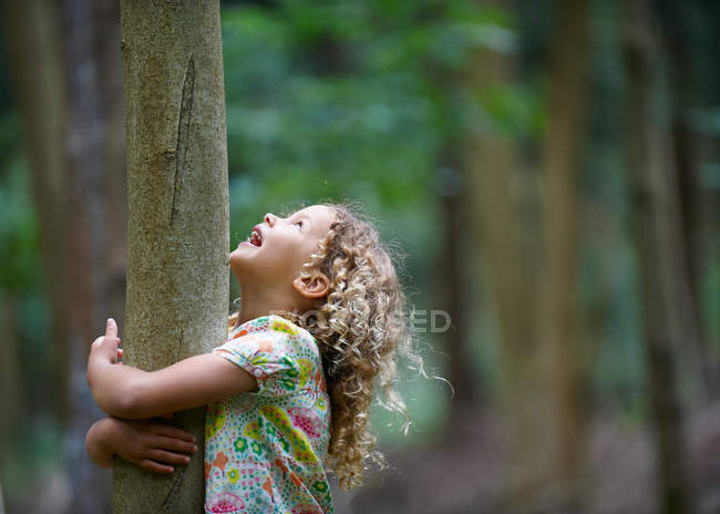 Chica joven abrazando árbol mirando hacia arriba - foto de stock