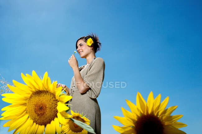 Frau im Sonnenblumenfeld — Stockfoto
