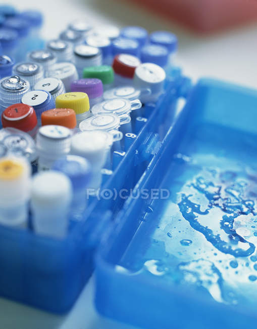 Vielzahl von DNA- und chemischen Proben — Stockfoto