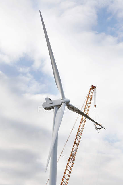 Low angle view of wind turbine erecting on sky — Stock Photo