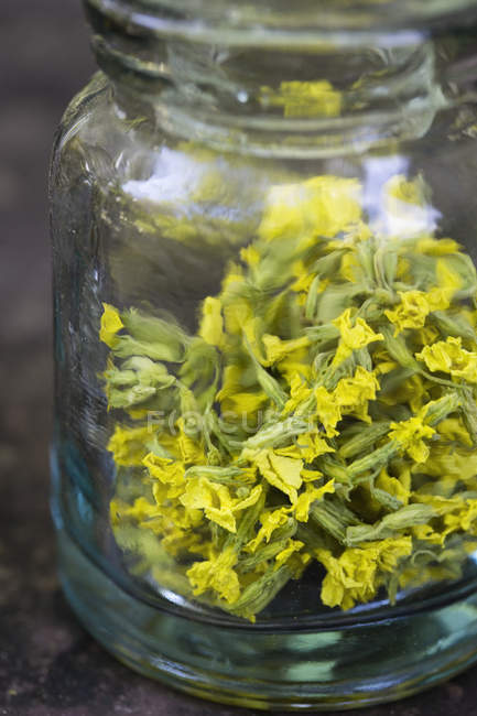 Small jar of dried cowslip, close up shot — Stock Photo