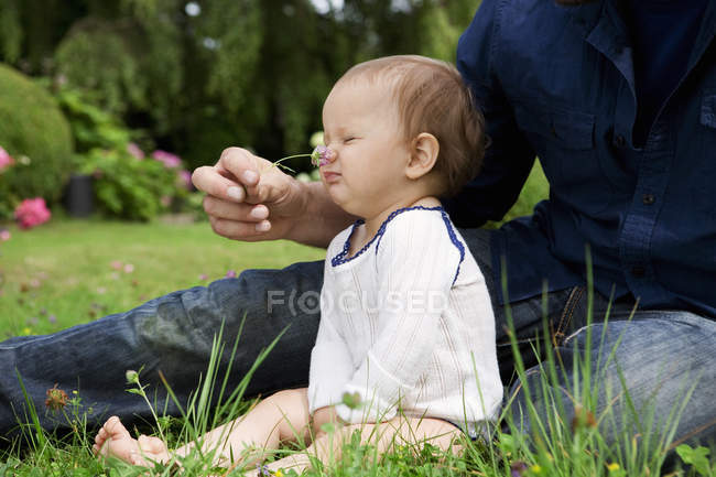 Padre cosquillas bebé hija nariz con hierba en el jardín - foto de stock