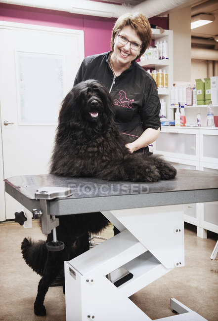 Retrato de perro y peluquero en salón de aseo de perros - foto de stock