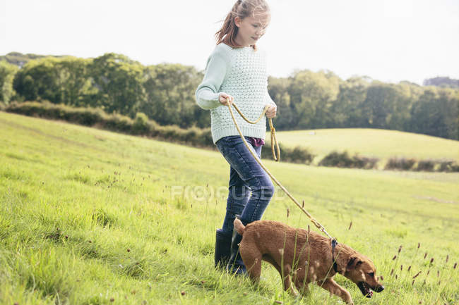 Fille chien de promenade dans le champ — Photo de stock
