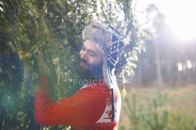 Young man carrying Christmas tree on shoulders in woods — Stock Photo