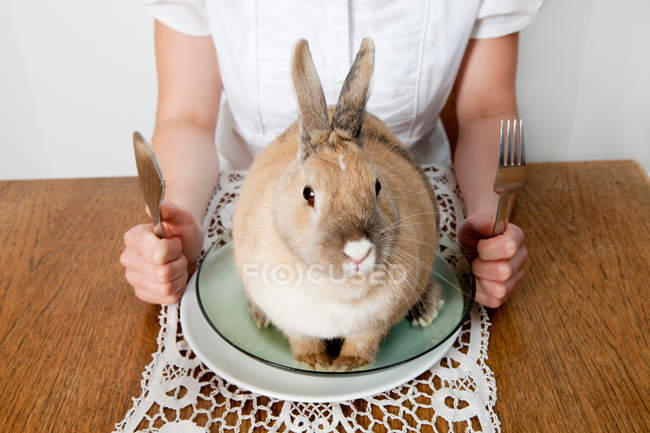 Cropped image of woman holding fork and knife, rabbit sitting on plate on table — Stock Photo