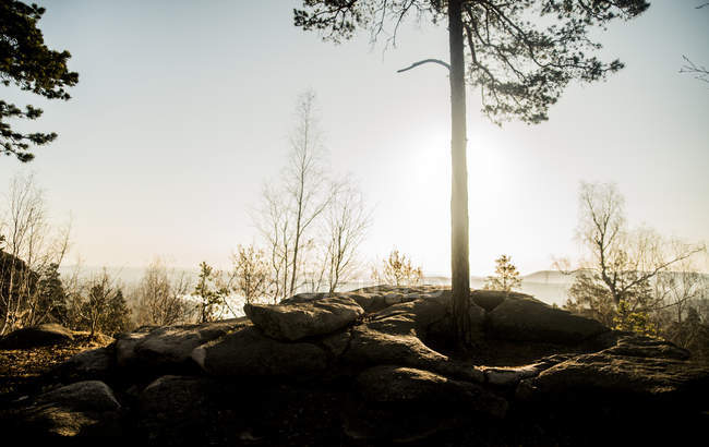 Formação rochosa e árvore silhueta — Fotografia de Stock