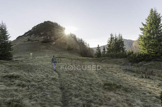 Escursioni di una donna adulta a Achensee, Tirolo, Austria — Foto stock