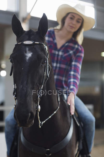 Young woman horseback rider patting horse in indoor paddock — Stock Photo