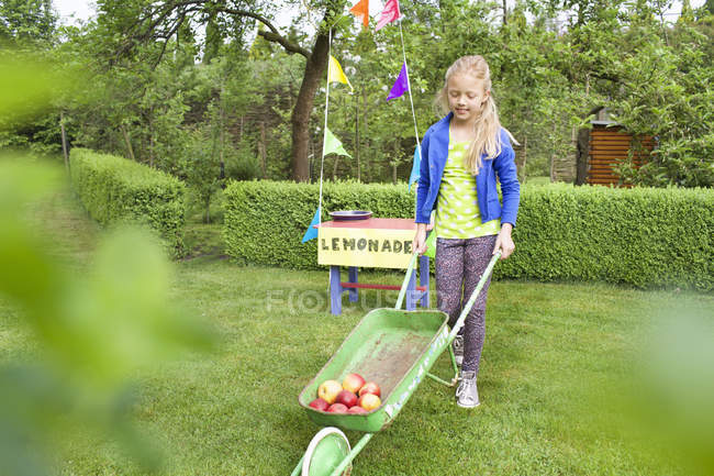 Lemonade stand girl carting apples away from her stand — Stock Photo