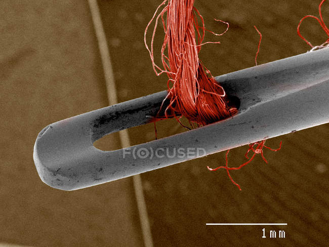 Sewing needle and thread SEM — Stock Photo