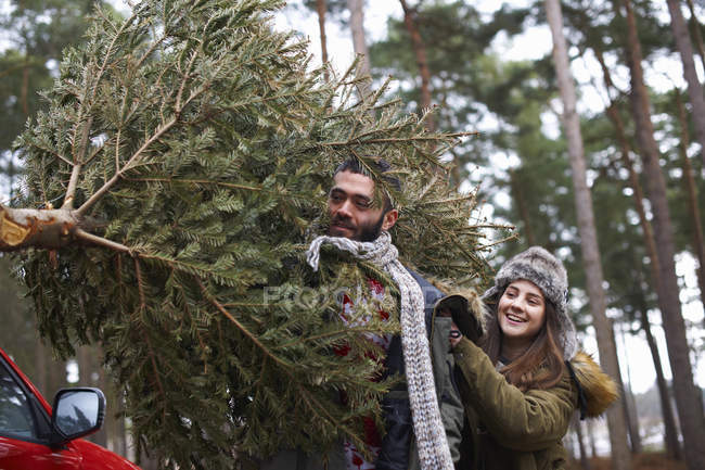 Young couple carrying Christmas tree on shoulders in car park — Stock Photo