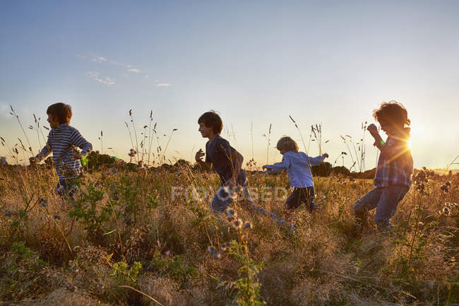 Чотири дитини біжать у полі на заході сонця — стокове фото