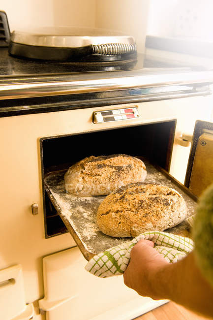 Cropped image of man taking loafs of bread from oven — Stock Photo