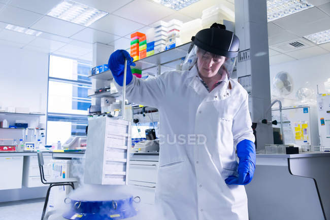 Laboratorio de investigación del cáncer, científica femenina colocando células en cámara de criopreservación de nitrógeno líquido - foto de stock