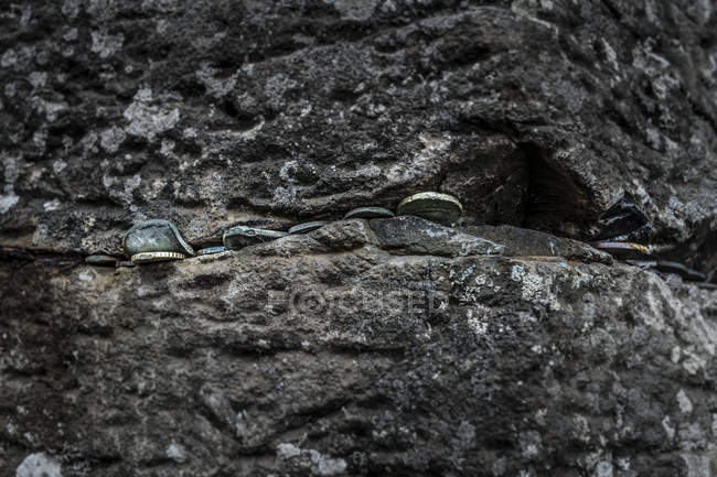 Moedas colocadas em rocha — Fotografia de Stock