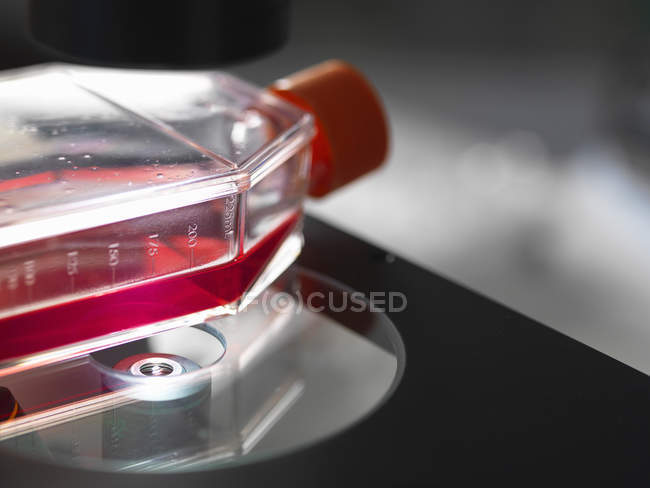 Flask contenente colture sedute su piattaforma di microscopio invertito in laboratorio — Foto stock