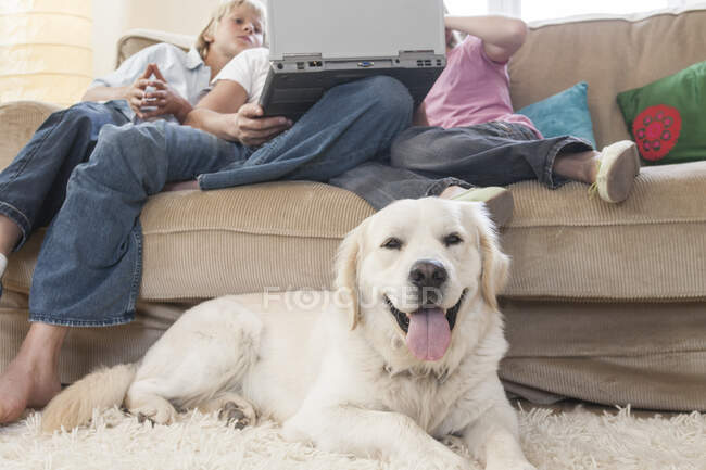 Сім'я з ноутбуком на дивані, домашня собака на передньому плані — стокове фото