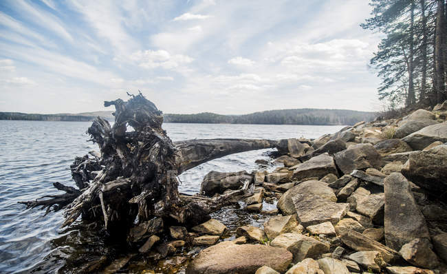 Lago con rocce e vecchio albero caduto — Foto stock