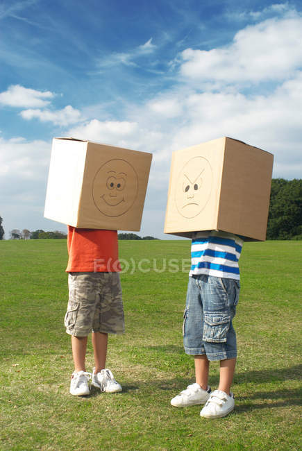 Boys with boxes over heads in rural field — Stock Photo