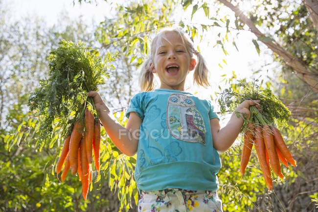 Portrait of girl in garden holding up bunches of carrots — Stock Photo