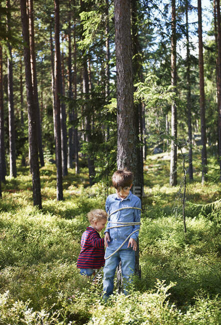Chica atando hermano al árbol - foto de stock