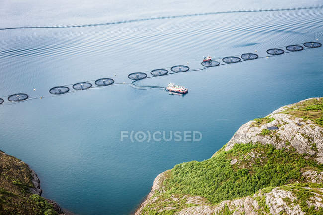 Aerial view of pods and ship in ocean — Stock Photo