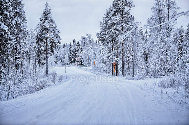 Route rurale couverte de neige vide, Hemavan, Suède — Photo de stock