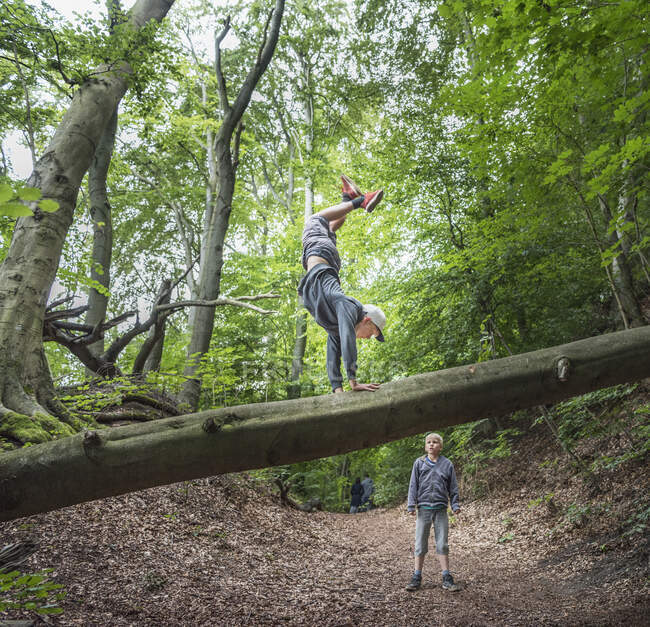 Junge im Wald macht Handstand auf umgestürztem Baum — Stockfoto