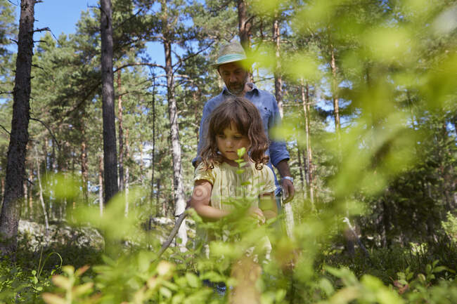 Padre e figlia a piedi attraverso la foresta — Foto stock
