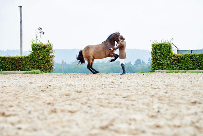 Cavalier féminin dressage cheval sur les pattes arrière dans l'arène équestre — Photo de stock