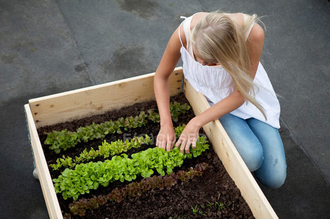 Девочка-подросток работает в коробке для растений — стоковое фото