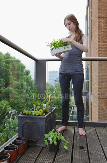 Молода жінка висаджує розсаду — стокове фото