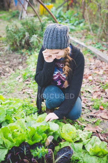 Mujer joven agachada en huerto chequeando lechuga, usando teléfono celular sonriendo - foto de stock