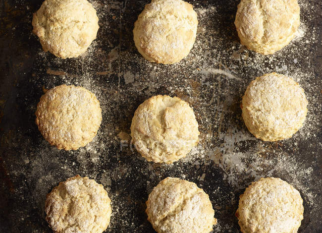 Top view of freshly baked scones on baking tray — Stock Photo