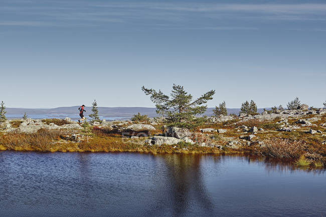 Hiker walking through majestic landscape, Lapland, Finland — Stock Photo