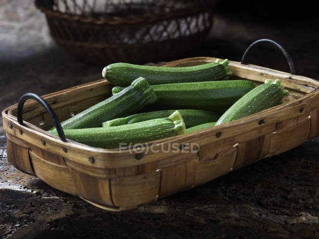 Calabacines largos de bebé orgánicos frescos en cesta - foto de stock