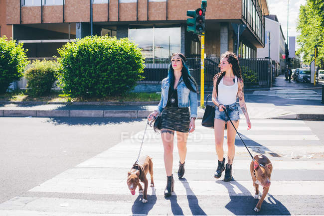 Две молодые женщины, ходящие питбулем на пешеходном переходе в городском жилом комплексе — стоковое фото