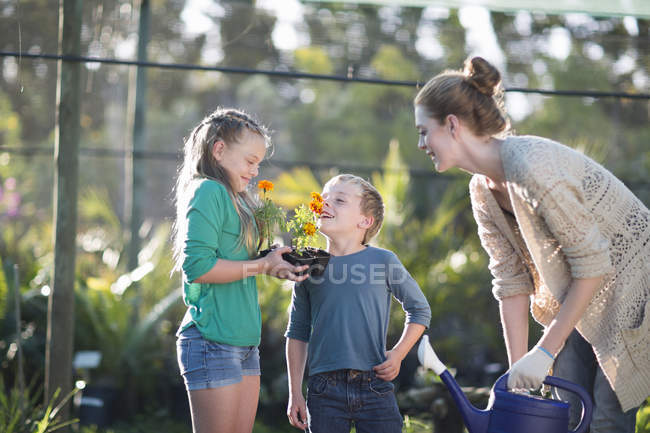 Брат и сестра с матерью пахнут растениями на участке — стоковое фото