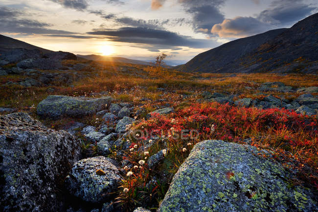 Осінній кольорових краєвид на заході сонця, недалеко від річки Chasnayok, Khibiny гори, Кольський півострів, Росія — стокове фото
